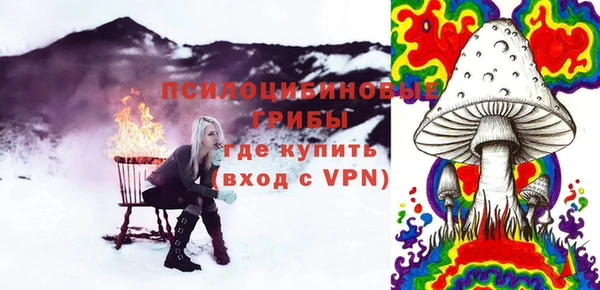 МДПВ Алексин