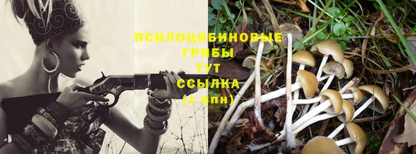 jwh Алзамай