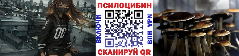 Псилоцибиновые грибы Cubensis  blacksprut   Зверево 